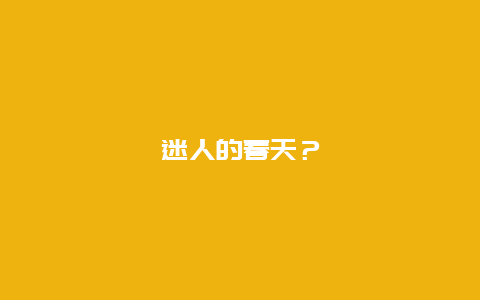 迷人的春天？