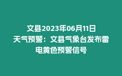 文縣2023年06月11日天氣預(yù)警：文縣氣象臺(tái)發(fā)布雷電黃色預(yù)警信號(hào)