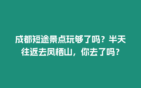 成都短途景點(diǎn)玩夠了嗎？半天往返去鳳棲山，你去了嗎？