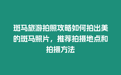 斑馬旅游拍照攻略如何拍出美的斑馬照片，推薦拍攝地點(diǎn)和拍攝方法