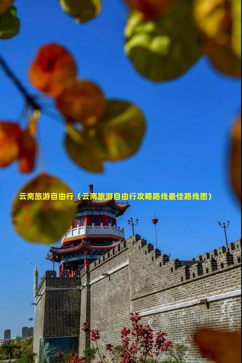 云南旅游自由行,云南旅游自由行攻略路線最佳路線圖插圖 0f7063c4cd2d37b4ba19be5f99750430.jpg