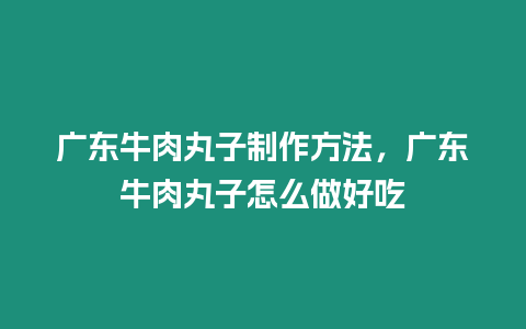 廣東牛肉丸子制作方法，廣東牛肉丸子怎么做好吃