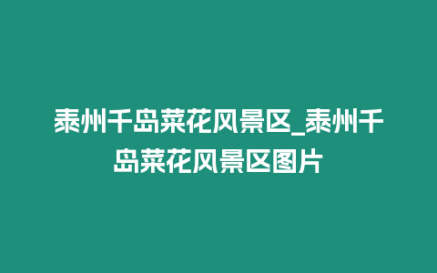 泰州千島菜花風(fēng)景區(qū)_泰州千島菜花風(fēng)景區(qū)圖片