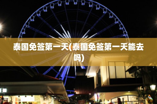 泰國免簽第一天_泰國免簽第一天能去嗎插圖 56187c537324c410ff3c42c8a447767b.jpg
