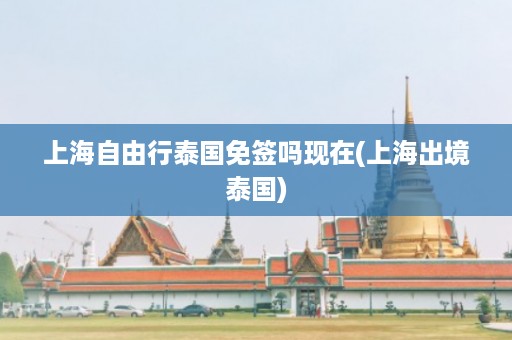 上海自由行泰國免簽嗎現在_上海出境泰國插圖 5986ebc62a056b40b8ed691d9499e313.jpg