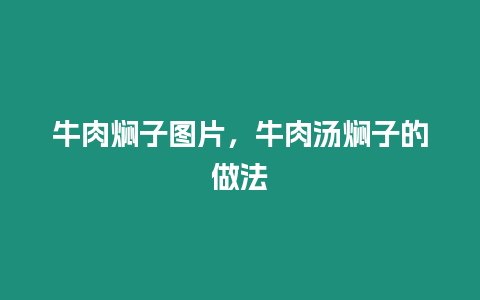 牛肉燜子圖片，牛肉湯燜子的做法