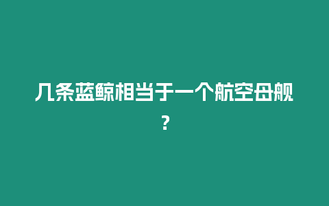 幾條藍鯨相當于一個航空母艦？