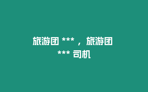 旅游團(tuán) *** ，旅游團(tuán) *** 司機(jī)