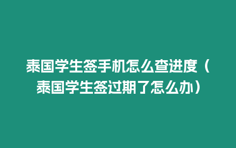 泰國(guó)學(xué)生簽手機(jī)怎么查進(jìn)度（泰國(guó)學(xué)生簽過(guò)期了怎么辦）