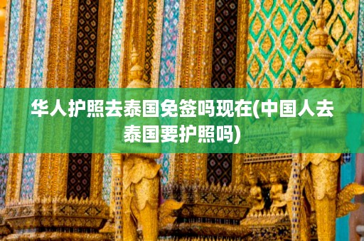 華人護照去泰國免簽嗎現(xiàn)在_中國人去泰國要護照嗎插圖 ae1d00d815a5e8b854977a90aecc367b.jpg