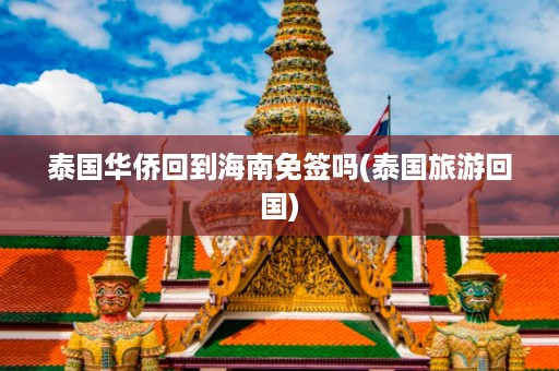 泰國華僑回到海南免簽嗎_泰國旅游回國插圖 b1d443284b0268ff08509ade755a09f1.jpg