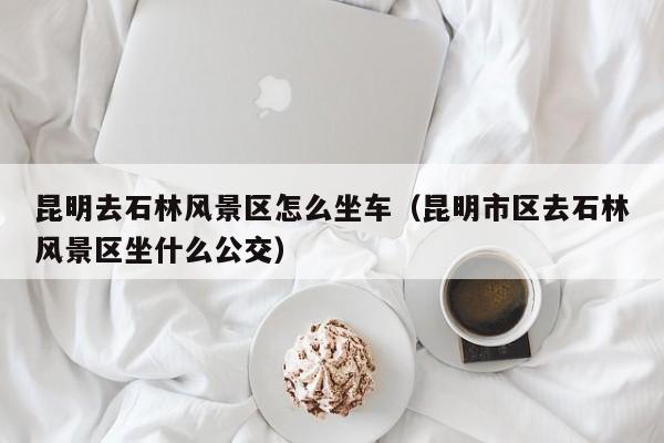昆明去石林風景區怎么坐車_昆明市區去石林風景區坐什么公交插圖 bc04fddc291691ec57bdeab624314d58.jpg