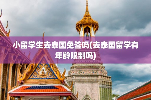 小留學生去泰國免簽嗎_去泰國留學有年齡限制嗎插圖 c5ead45813407d83e86a81cee0d6371b.jpg