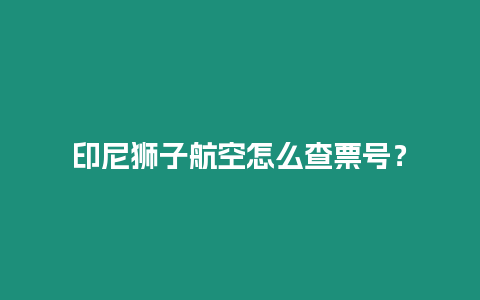 印尼獅子航空怎么查票號？