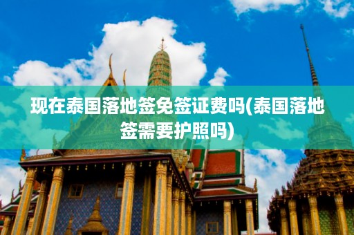 現在泰國落地簽免簽證費嗎_泰國落地簽需要護照嗎插圖 db6fd6500a9a979a11e58cb077bb2cf1.jpg