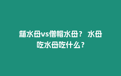 箱水母vs僧帽水母？ 水母吃水母吃什么？