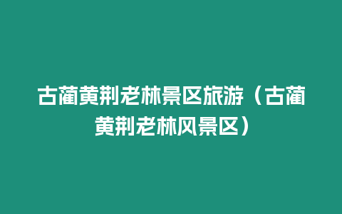 古藺黃荊老林景區旅游（古藺黃荊老林風景區）