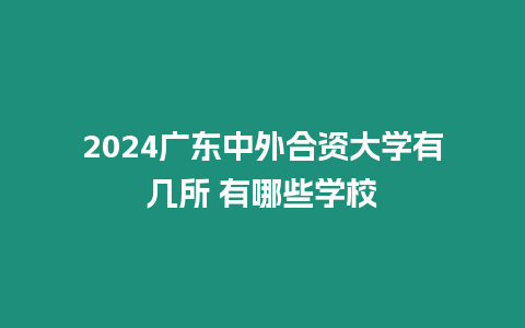 2024廣東中外合資大學(xué)有幾所 有哪些學(xué)校