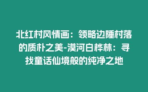 北紅村風情畫：領略邊陲村落的質樸之美-漠河白樺林：尋找童話仙境般的純凈之地