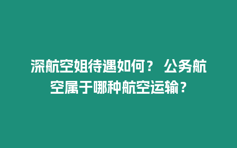 深航空姐待遇如何？ 公務航空屬于哪種航空運輸？