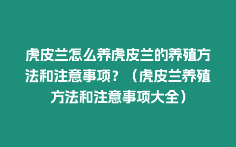 虎皮蘭怎么養(yǎng)虎皮蘭的養(yǎng)殖方法和注意事項？（虎皮蘭養(yǎng)殖方法和注意事項大全）