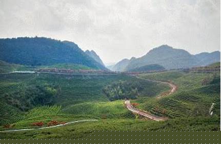 惠水縣周邊旅游景點大全（惠水縣周邊旅游景點大全圖片）