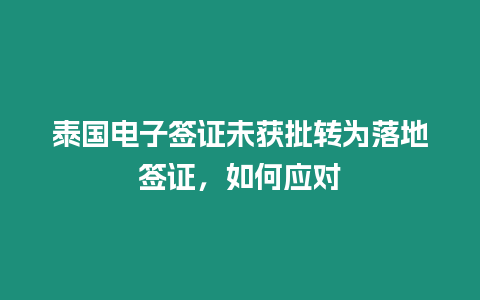 泰國電子簽證未獲批轉為落地簽證，如何應對