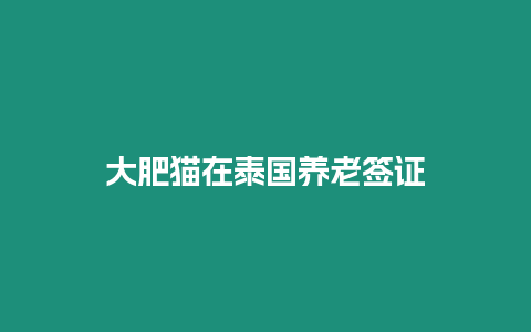 大肥貓?jiān)谔﹪B(yǎng)老簽證