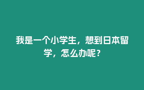 我是一個小學生，想到日本留學，怎么辦呢？