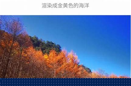 后官湖濕地公園門票價(jià)格，后官湖濕地公園門票價(jià)格多少？