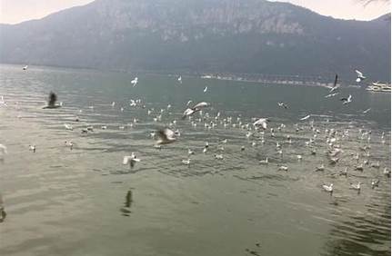 大理到北海沿途景點（大理到北海沿途景點攻略）