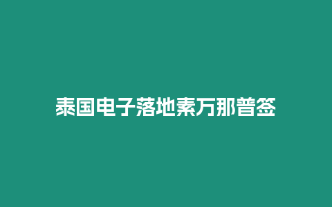 泰國(guó)電子落地素萬(wàn)那普簽