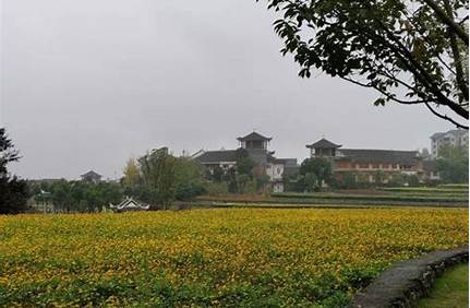 大方奢香夫人門票，大方奢香夫人地址？