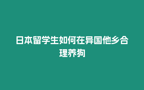 日本留學(xué)生如何在異國(guó)他鄉(xiāng)合理養(yǎng)狗