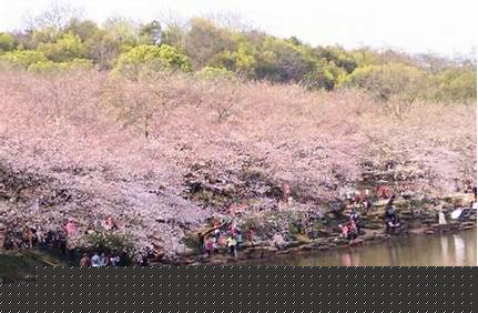 長沙市植物園門票是多少錢，長沙市植物園門票是多少錢啊？