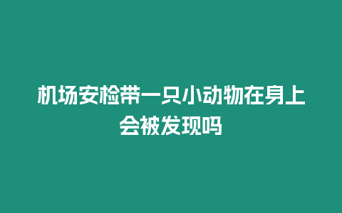 機(jī)場安檢帶一只小動物在身上會被發(fā)現(xiàn)嗎