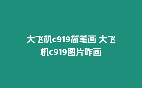 大飛機c919簡筆畫 大飛機c919圖片咋畫