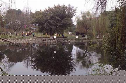 新都區旅游景點有哪些（新都區旅游景點有哪些地方）