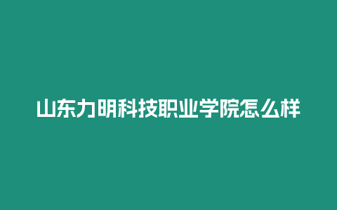 山東力明科技職業(yè)學院怎么樣