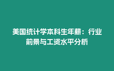 美國統(tǒng)計學本科生年薪：行業(yè)前景與工資水平分析