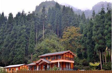 雞冠山景區門票多少，雞冠山景區門票多少錢一張？