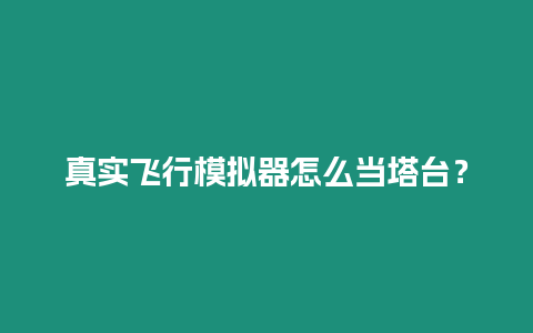 真實飛行模擬器怎么當塔臺？
