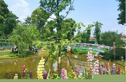 常州花谷奇緣附近景點（常州花谷奇緣附近景點有哪些）