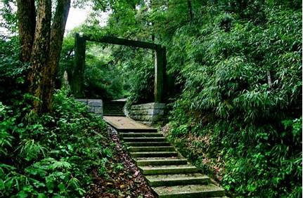 宜春去海南三亞旅游景點(diǎn)（宜春去海南三亞旅游景點(diǎn)有哪些）