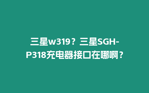 三星w319？三星SGH-P318充電器接口在哪??？