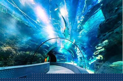上海長風海洋公園門票價格_上海長風海洋公園門票價格多少？