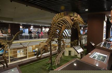 中國古生物動物博物館門票，中國古生物動物博物館門票價格？