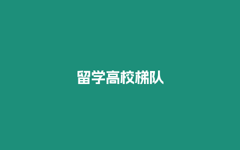 留學(xué)高校梯隊(duì)