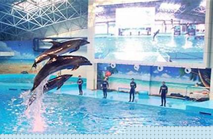 合肥海洋館門票預定，合肥海洋館門票預定電話？