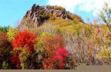 哈爾濱長壽山門票價格多少_哈爾濱長壽山門票價格多少錢一張？